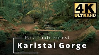 Karlstal Gorge Palatinate Forest Karlstalschlucht Pfälzerwald Trippstadt Ultra Hd 4K