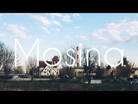 Mosina | Trips