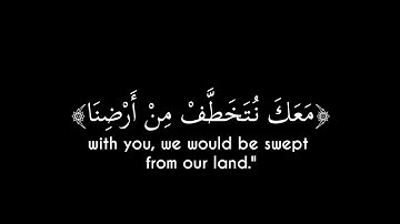 إنك لا تهدي من أحببت ولكن الله يهدي من يشاء |  ماهر المعيقلي | سوره القصص| كروما شاشة سوداء قرآن