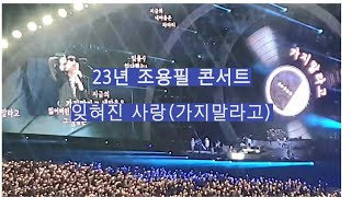 23년 조용필 콘서트 : 잊혀진 사랑