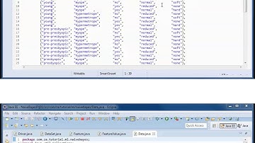 Naive Bayes w/ JAVA Prototype Project 01