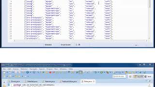 Naive Bayes w/ JAVA Prototype Project 01