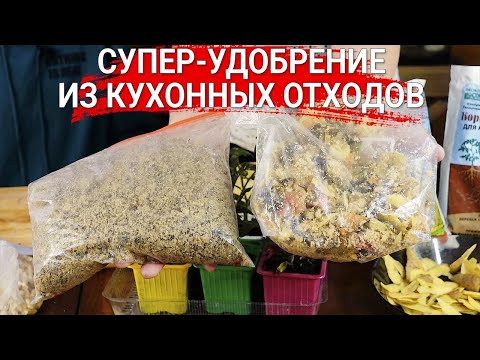 Супер-удобрение из кухонных отходов