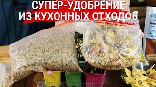 Супер-удобрение из кухонных отходов