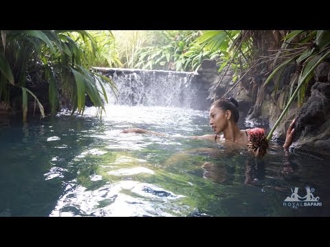 Видео: 25 емоционалних фаза кроз које ћете проћи у џунглама Костарике