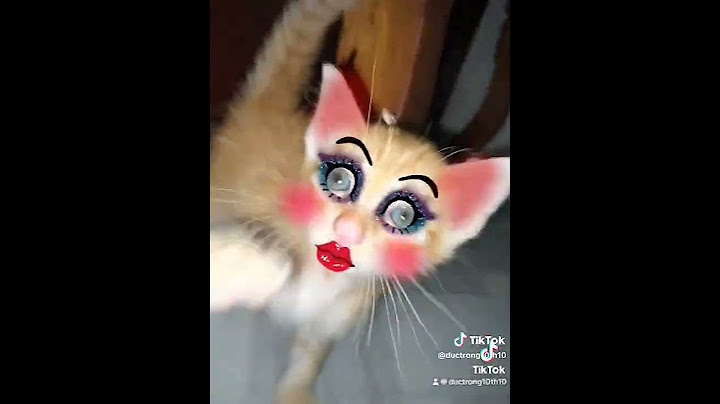 Chiều nay ăn lẩu bò....🐧 #tiktok #xuhuong #haihuoc #cat #viralshort #vv