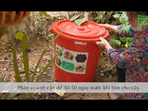 Video: Cách cắt tỉa hoa đỗ quyên: 7 bước (kèm hình ảnh)