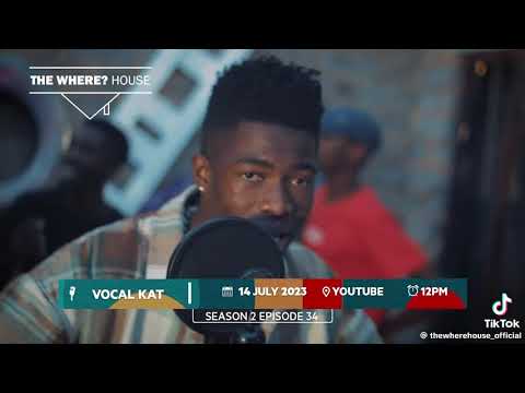 amapiano vocals