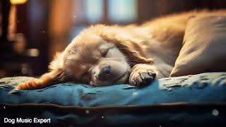 Healing music for dogs, sleep music, relaxing music, calm down your dogs