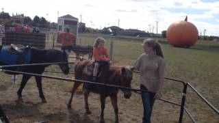 Annas Pony Ride