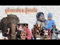 ดูช้างตกมัน & ลุ้นรางวัลที่1🐘🐘