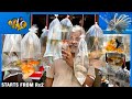 Kolathur Color Fish Market Vlog 🐟 | Semma varieties at cheaper rate 😯