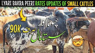 AB SIRF 90 HAZAR ME QURBANI KA JANWAR 😲 | Lyari Bakra Peeri 🐂 | Cow Mandi 2024 | Cattle Express