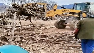 23 11 12 Daily Wood Chipper Machine in Action: Watch How It Works.