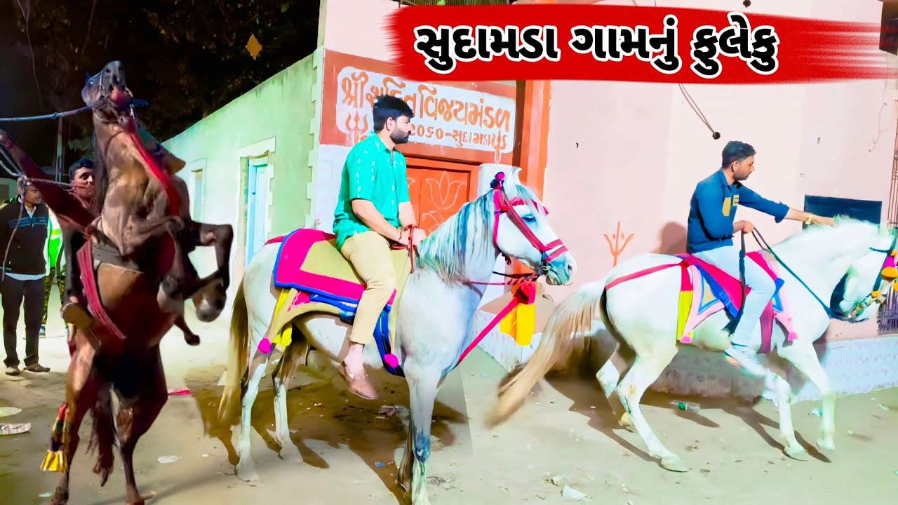 સુદામડા ગામનું ફુલેકુ|HORSE LOVERS|KATHIYWADI HORSE|FULEKU|TORAN|GHODA|HORSE POWER|HORSE VIDEO|VLOG|