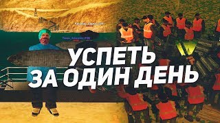 Diamond Rp | Amber | Успеть за один день.Что дали за 7 КВЕСТОВ?!