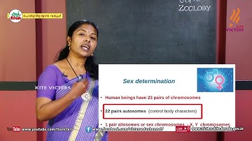 KITE VICTERS Plus Two Zoology Class 21 (First Bell-ഫസ്റ്റ് ബെല്‍)