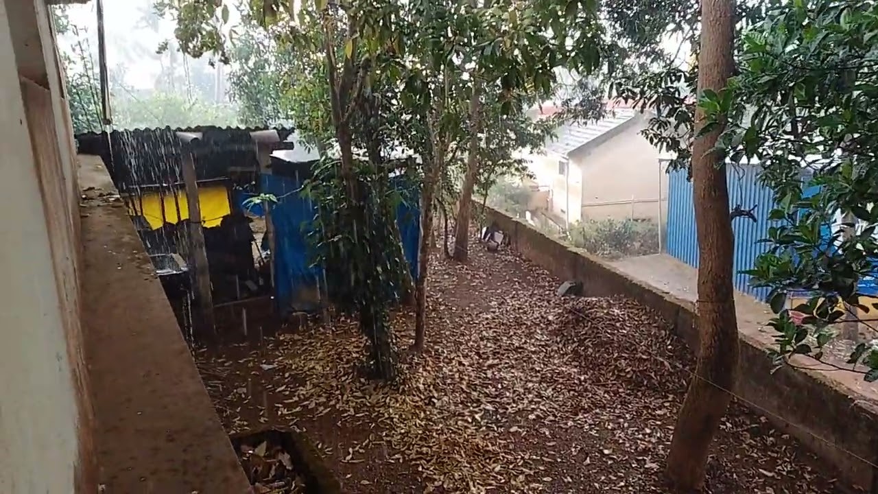 ಮೊದಲ ಮಳೆ...#.sdp nk ೫೮೧೩೫೫#