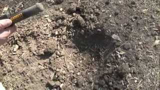 Pinpointing Tips with the Garrett Pro Pointer