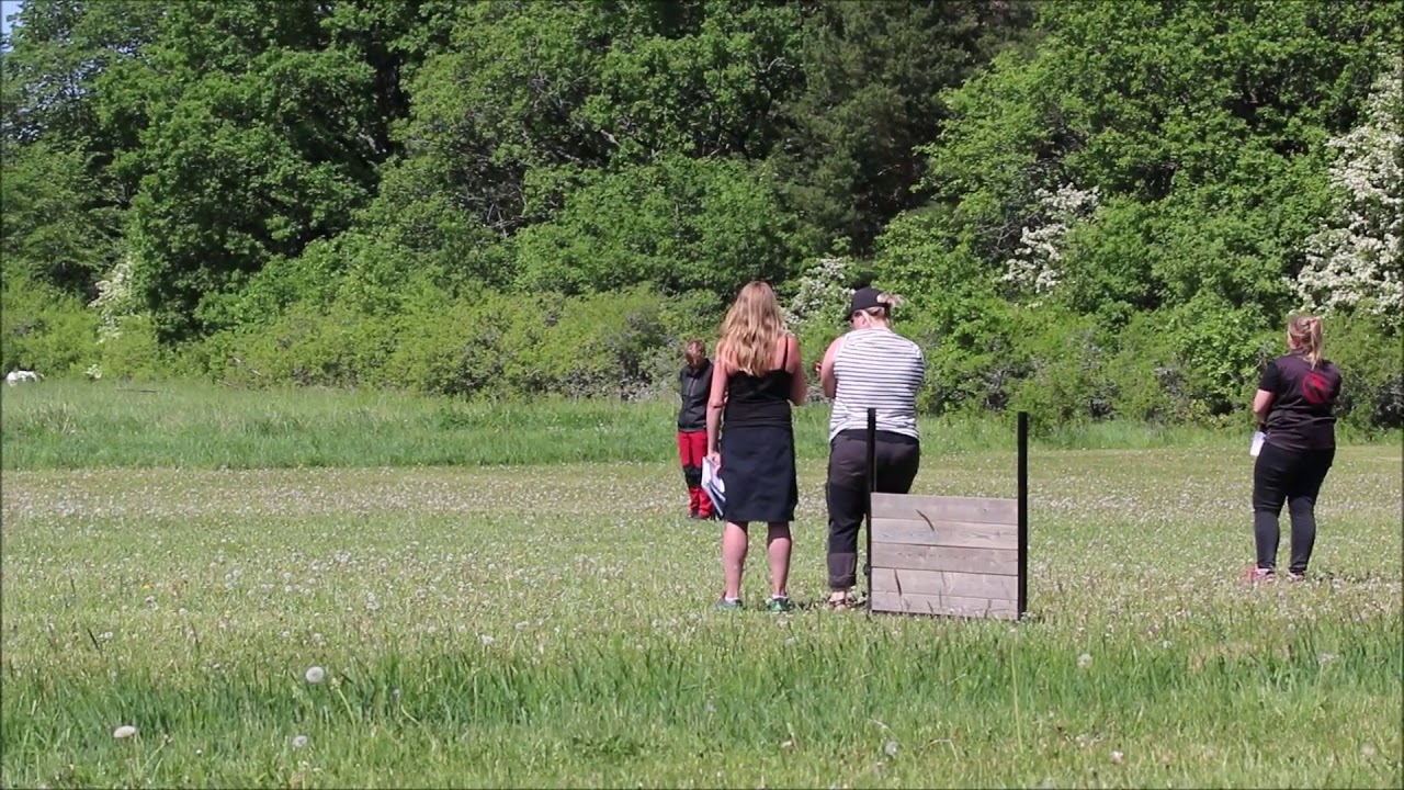 180527 Appellen lydnad