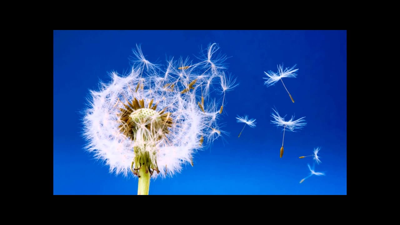 Laser B1 - Unit 9, listening