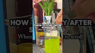 How to Study After School!! 🏫📚#studyafterschool #afterschool #school #studytok #starbean #study