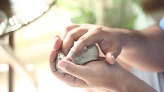 Baby Squirrel Loves Mages And Daddys Singing