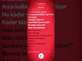 İçimdeki Sesler 