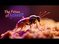 The Future of Food: How Insects Are Becoming the Sustainable Protein of Tomorrow