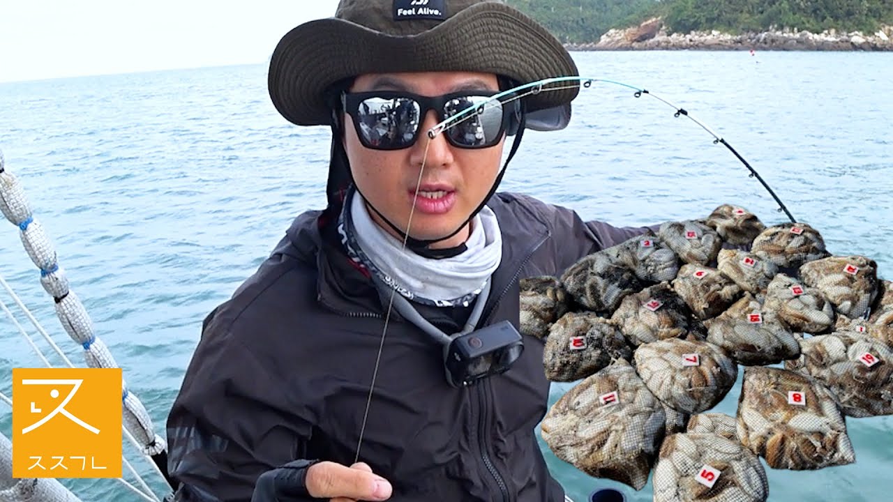 갑오징어 조과 팍! 팍! 올라가니깐 그냥 떠 먹여 드릴게요~!