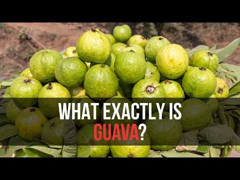 Guava: More Than Just a Tropical Fruit