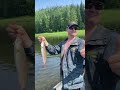 РЫБАЛКА / ЛЕНОК / СИБИРЬ
