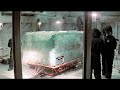 A giant 40000 years old ice coffin found in the arctic the creatures inside are still alive