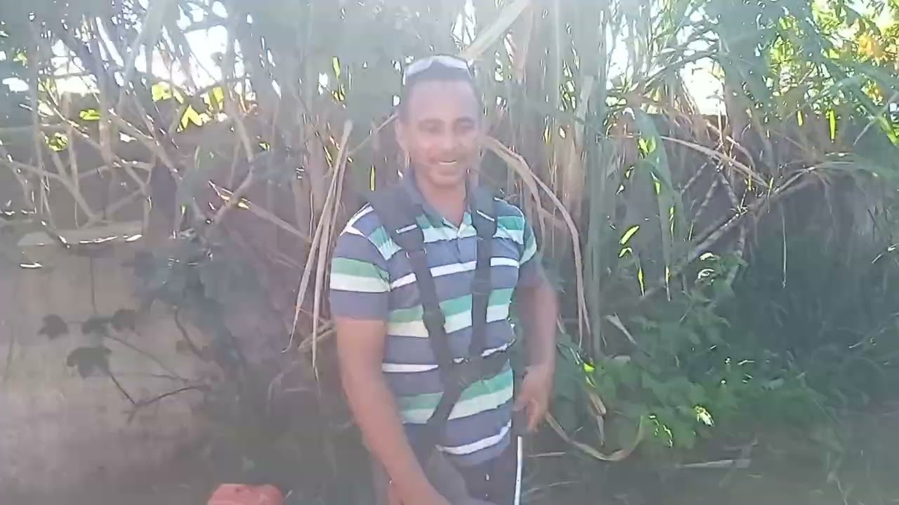Limpeza do quintal de casa 