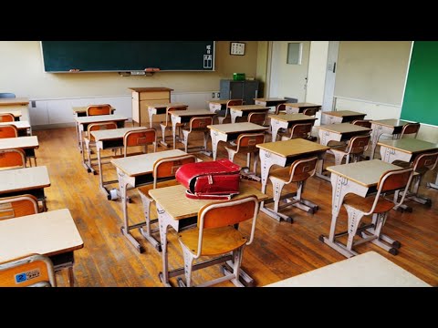 \"ღირებულებებზე დაფუძნებული\" მასალა სკოლებში | ღარიბაშვილი განათლების სისტემაში რეფორმებს აანონსებს