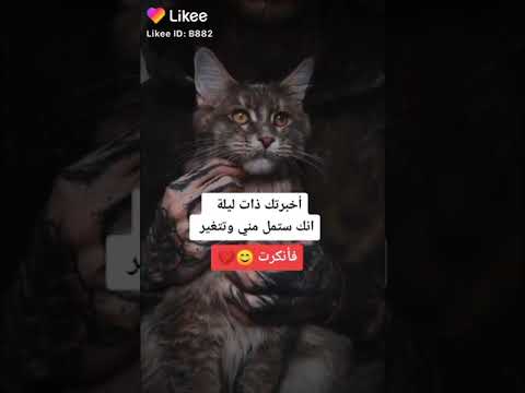 اخبرتك اكتر من مره وتقولي ظروف كل واحد وظروفو