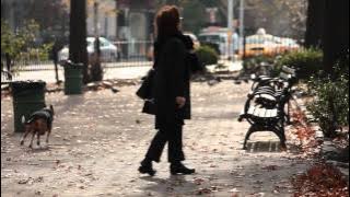 The Heart of Life - John Mayer