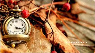 Cool Morning Flute Alarm Ringtone