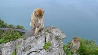Rock Of Gibraltar |Pictures Of Most Beautiful & One Of The World Best Location To Visit