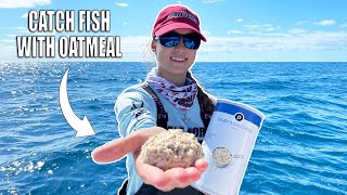 How to Catch Yellowtail Snapper  Fishing with Oatmeal