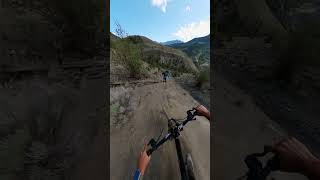 The Ultimate Collab | MTB + Ski 🎬 Alex Chapellier #Shorts #MTB