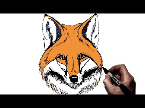 How To Draw A Fox Step By Step Youtube