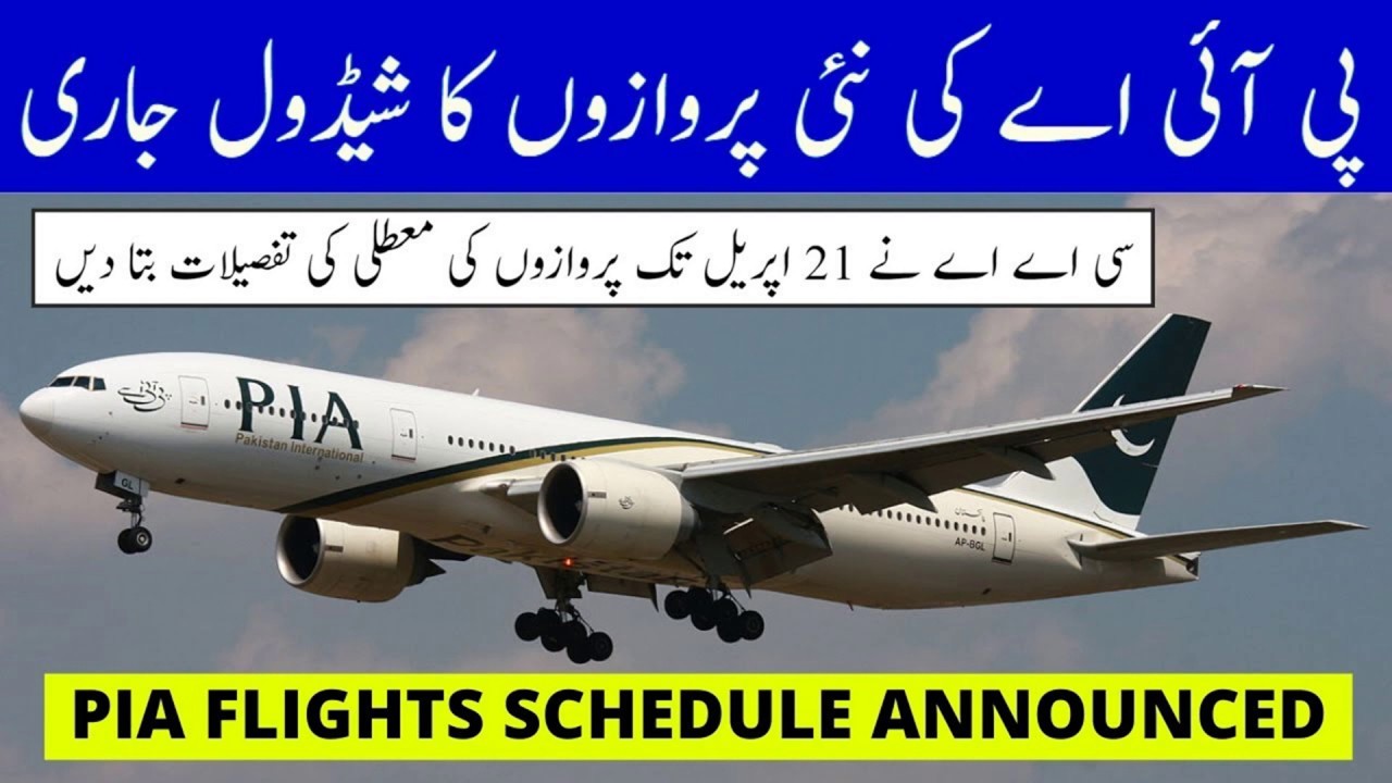 When will international travel resume - Travel updates When will we