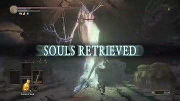 Dark Souls 3 Item And Enemy Randomizer Mod ep4