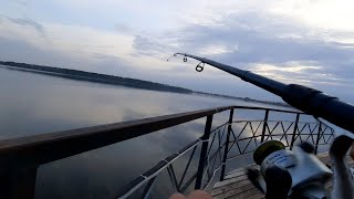 Бешеный клёв ЩУКИ и ПЛОТВЫ в городском ПЛЯЖЕ!!!  Рыбалка в середине АПРЕЛЯ! Щука, плотва, окунь.