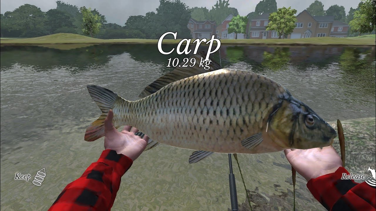 Game câu cá Ultimate Simulator Fishing - Câu cá chép hồ - YouTube