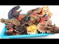 Dinosaur Heads!! Dino Hand Puppet Toys. Real And Scary Dinosaur Toys For Kids