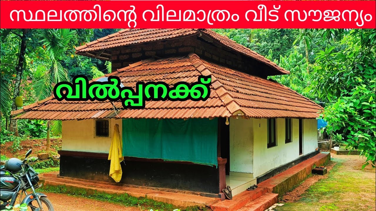 മനസിന് കുളിർമയേകുന്ന സുന്ദര വീട് ചെറിയ വിലയിൽ വിൽപ്പനക്ക് Ph 9895586607.house for sale 🏠🏡🏠🏡