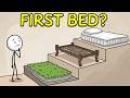 How Did Humans Invent Bed?