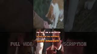 Christopher Walkens Puss In Boots 1988 - Just Another Walken Simulator